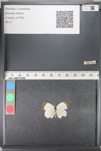 Media type: image;   Entomology 120601